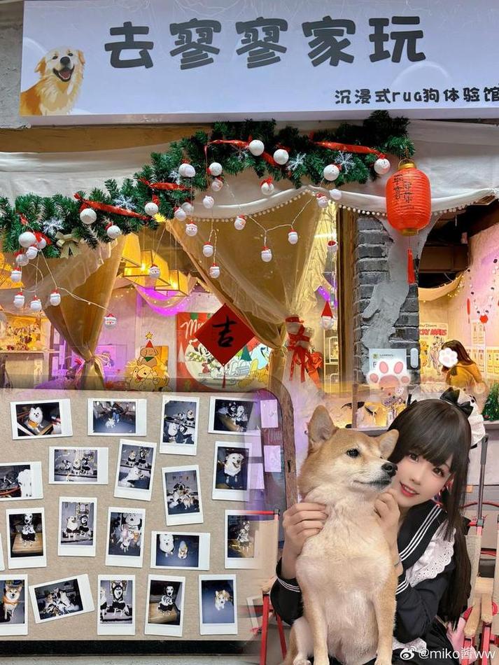 miko酱 绝美异次元通讯miko酱正脸cos照片集锦。