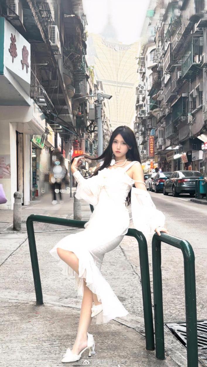 不呆猫 不呆猫最新无删照片,带你走进别样世界