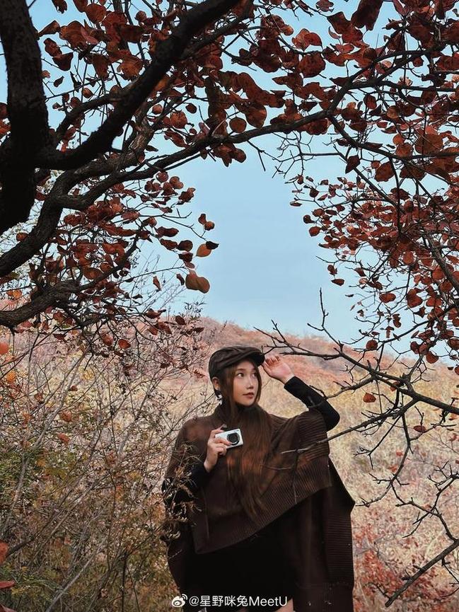 星野咪兔 星野咪兔最新图包,定制照片体验专属!